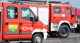 zdjęcie nr 43