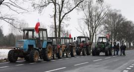 zdjęcie nr 31