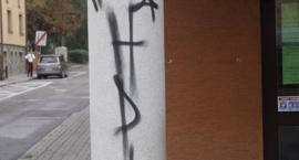 Fotka nr 3 z 14