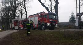 Fotka nr 4 z 17