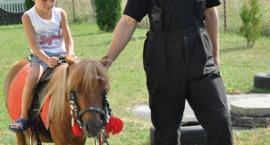 zdjęcie nr 28