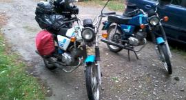 zdjęcie nr 30