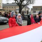 zdjęcie nr 83