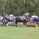 zdjęcie nr 102