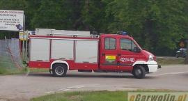 Fotka nr 4 z 5