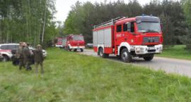 Fotka nr 3 z 23