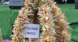 zdjęcie nr 28