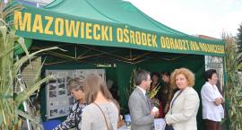 zdjęcie nr 55