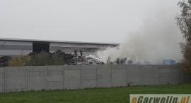 Fotka nr 5 z 36