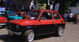 zdjęcie nr 65