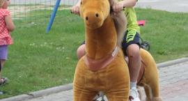 zdjęcie nr 93