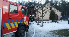 zdjęcie nr 8