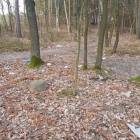zdjęcie nr 7