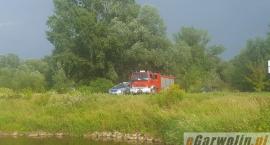 Fotka nr 5 z 8
