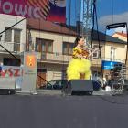 zdjęcie nr 7