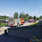 Fotka nr 5 z 27