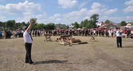 zdjęcie nr 93