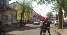 zdjęcie nr 12