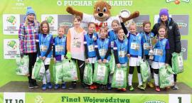 zdjęcie nr 7