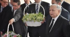 zdjęcie nr 23