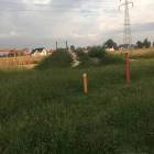 Fotka nr 1 z 5