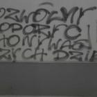Fotka nr 2 z 3