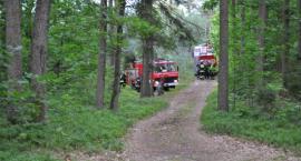Fotka nr 3 z 11