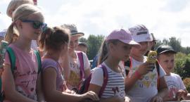 zdjęcie nr 24