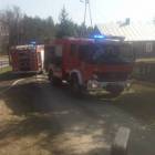 Fotka nr 5 z 8