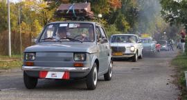 zdjęcie nr 76