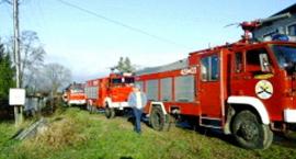 Fotka nr 5 z 8