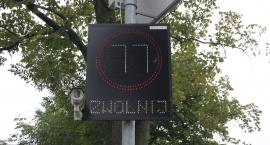 Fotka nr 5 z 13