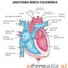 Fotka nr 5 z 6