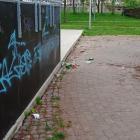 Fotka nr 4 z 9