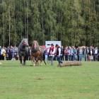 zdjęcie nr 97