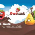 zdjęcie nr 24