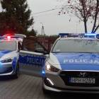 zdjęcie nr 31
