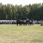 zdjęcie nr 46