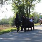 zdjęcie nr 76