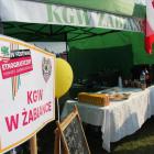 zdjęcie nr 145