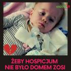 Fotka nr 0 z 5