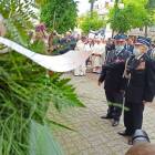 zdjęcie nr 37