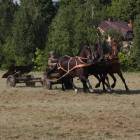 zdjęcie nr 78