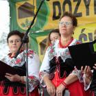 zdjęcie nr 183