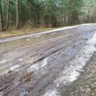 zdjęcie nr 30