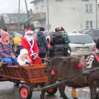 zdjęcie nr 30