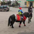 zdjęcie nr 26