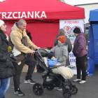 zdjęcie nr 77