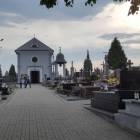 zdjęcie nr 12