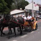 zdjęcie nr 85